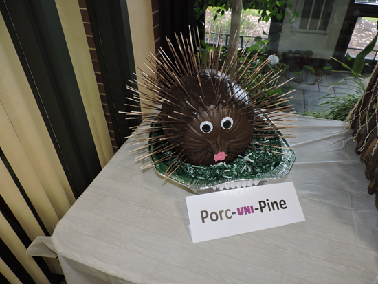 Pumpkin decorated like a porcupine