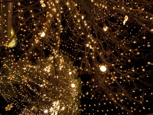 holiday lights