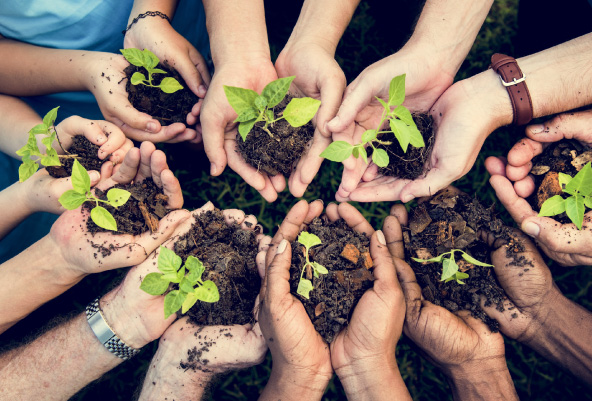 Multiple hands holding dirt with plants in it