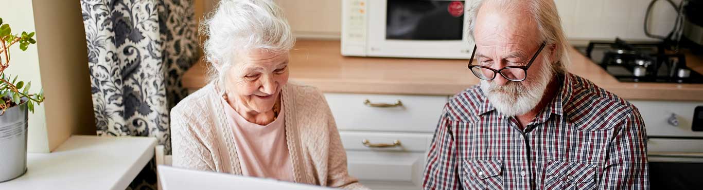 Elderly couple on a computer